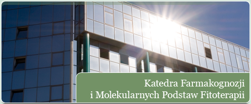 Katedra